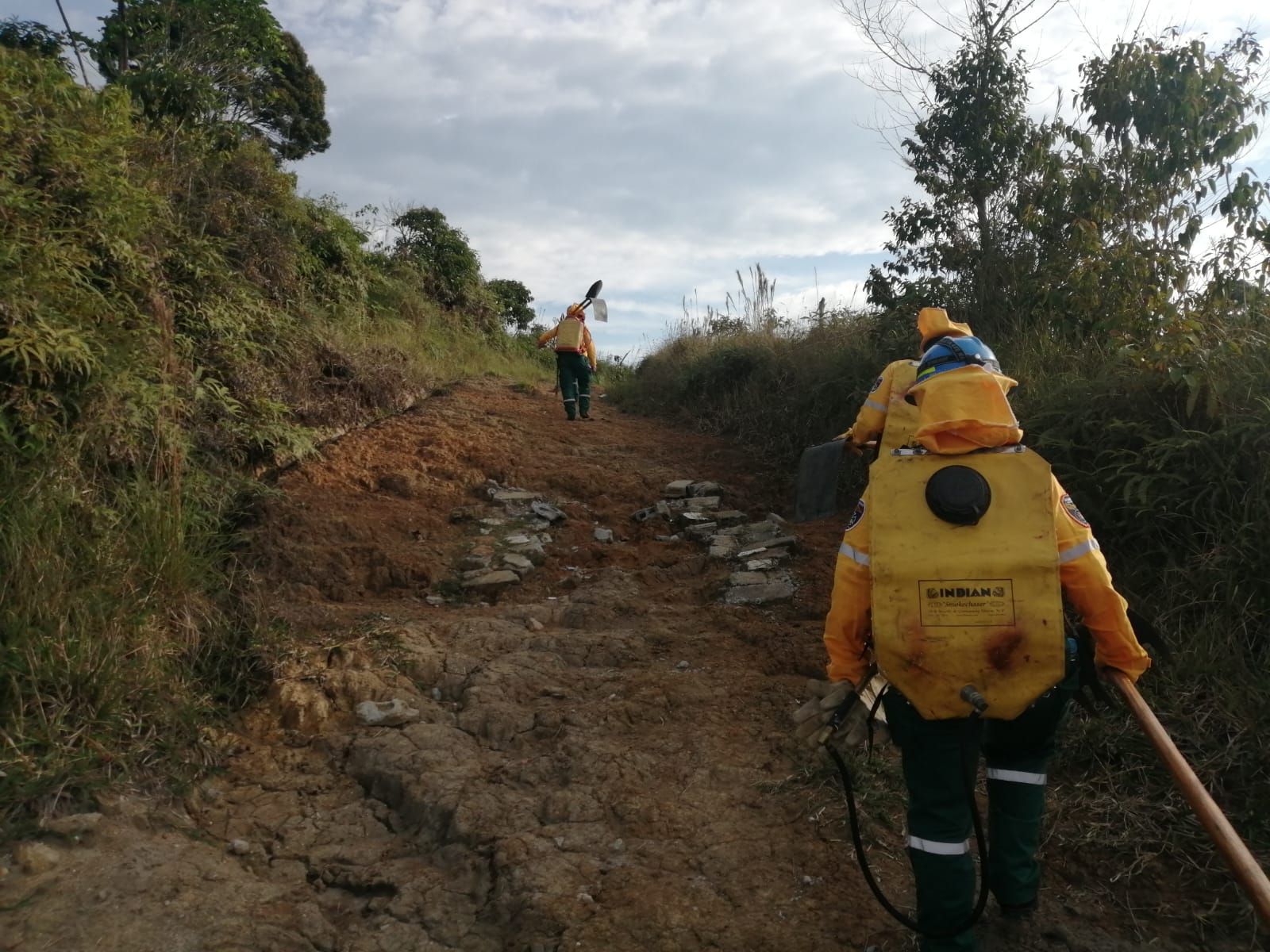 INCENDIO DE COBERTURA VEGETAL EN LA VEREDA EL JARD�N