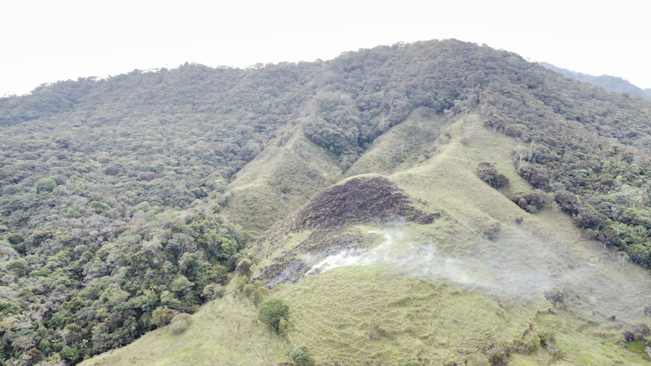 INCENDIO DE COBERTURA VEGETAL EN LA VEREDA EL JARD�N