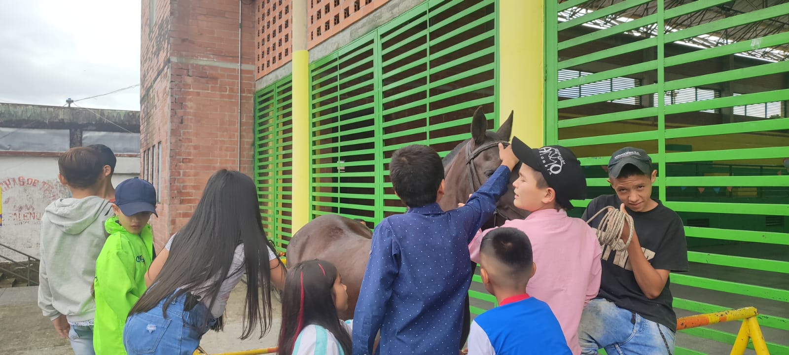 PROYECTO PATITA AMIGA