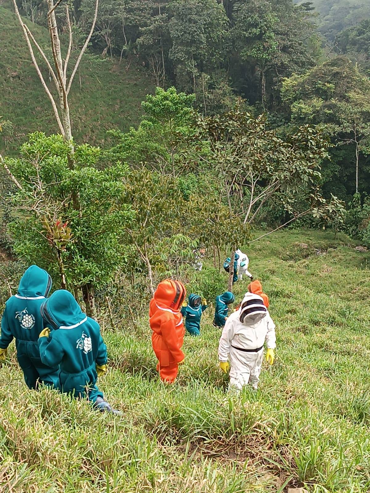 CURSO DE MANEJO, CONTROL Y REUBICACI�N DE ABEJAS Y AVISPAS