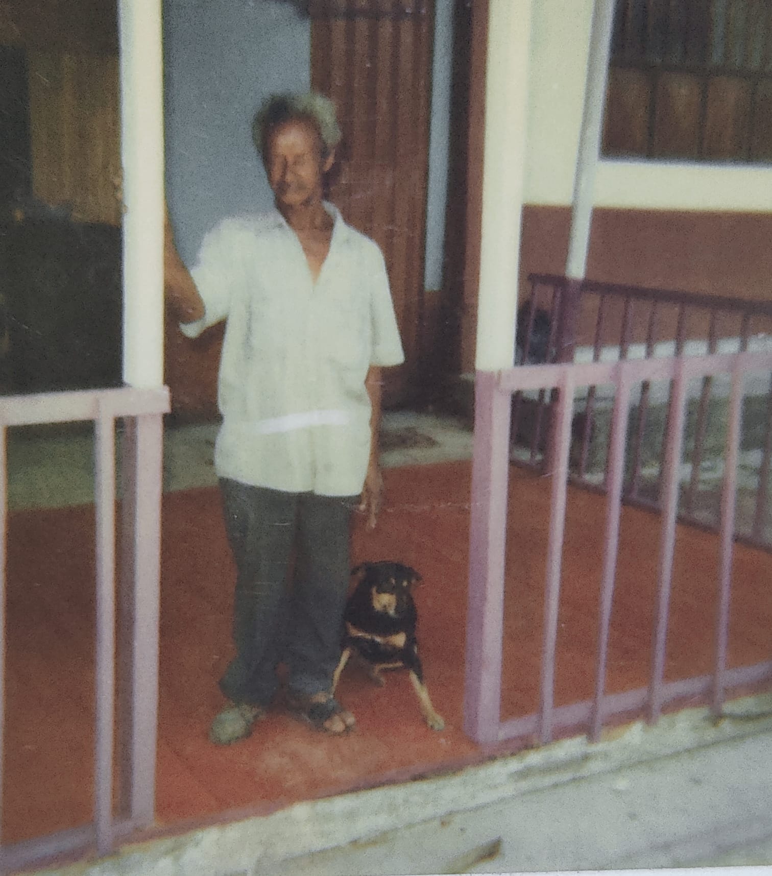 Al lado de sus mascota