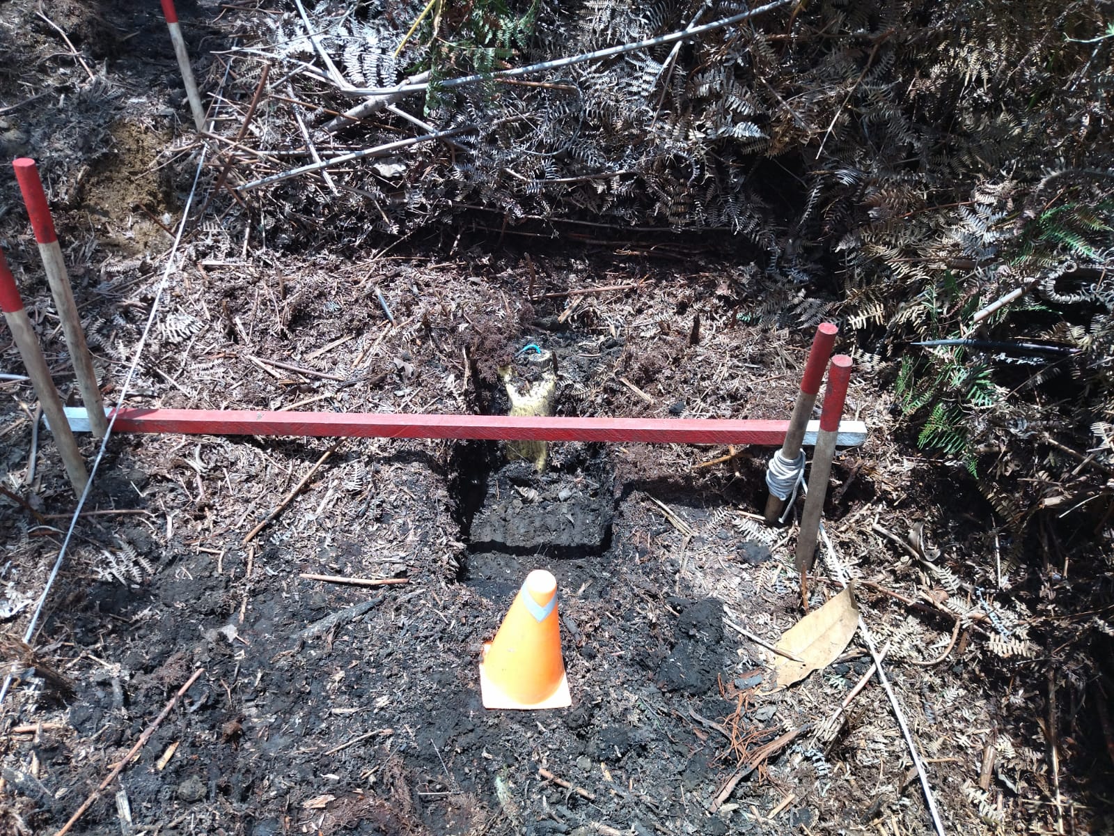 CINCO MINAS ANTIPERSONAL FUERON  DESTRUIDAS EN LABORES DE DESMINADO EN FLORENCIA