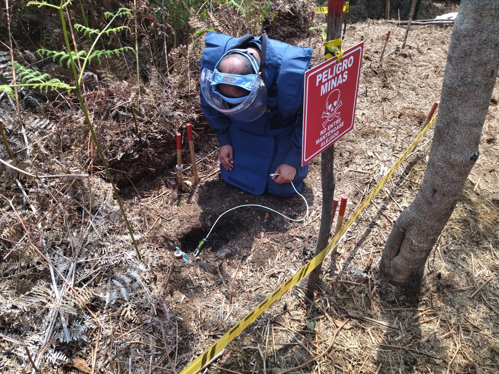 CINCO MINAS ANTIPERSONAL FUERON  DESTRUIDAS EN LABORES DE DESMINADO EN FLORENCIA