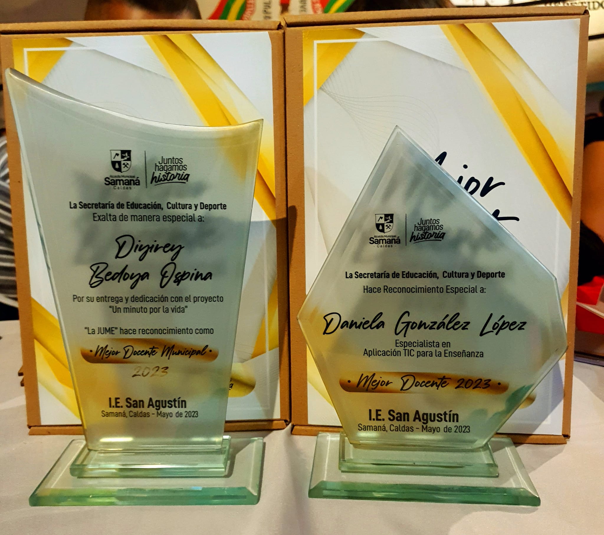 MEJOR DOCENTE DE LA INSTITUCI�N EDUCATIVA