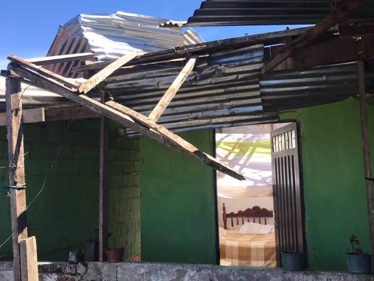 VENDAVALES EST�N AFECTANDO A SAMAN� EN CALDAS