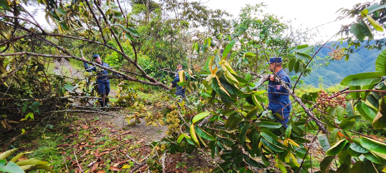 MANTENIMIENTO DE LA V�A QUE VEREDA AL CONGAL