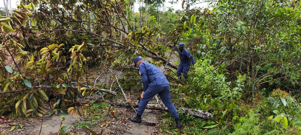 MANTENIMIENTO DE LA V�A QUE VEREDA AL CONGAL