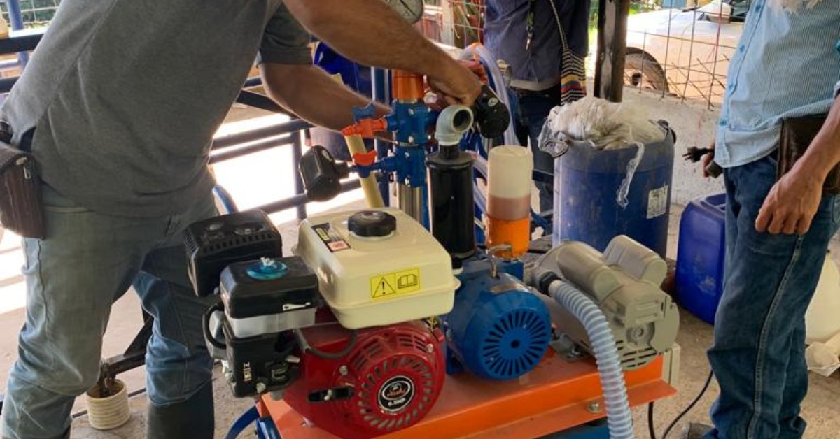 EN SAMAN� SE PRODUCE QUESO ROSADO Y BUSCA TENER EL SELLO DE ORIGEN CALDAS