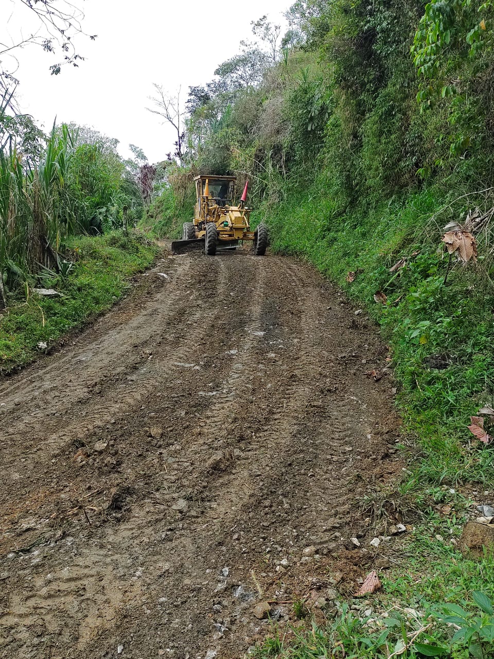 MANTENIMIENTO DE LA V�A EL CODO- CORREGIMIENTO LOS POMOS