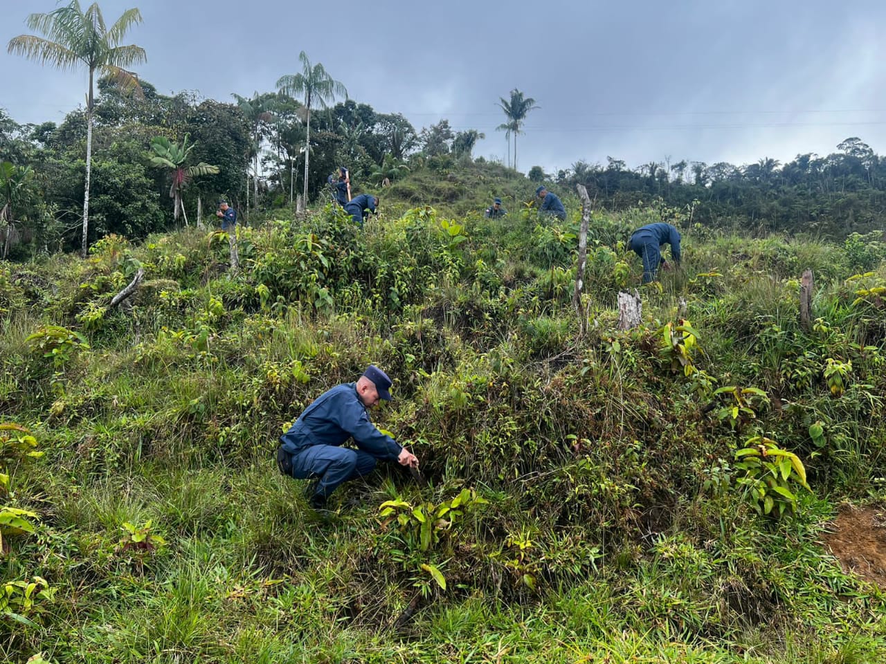 RECUPERACI�N DE ECOSISTEMAS EN LA VEREDA EL CONGAL