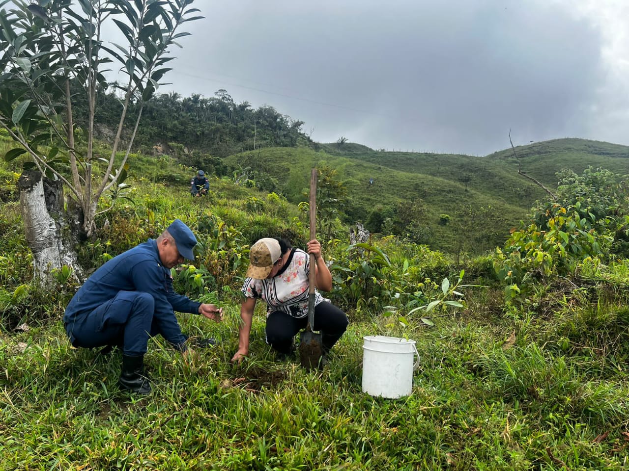 RECUPERACI�N DE ECOSISTEMAS EN LA VEREDA EL CONGAL