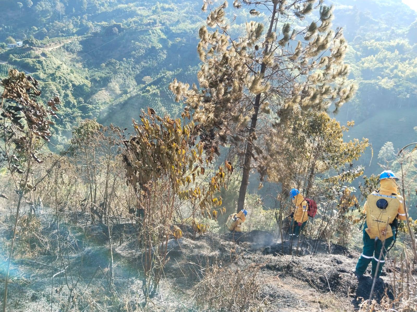 INCENDIO DE COBERTURA VEGETAL EN LA VEREDA SAN ISIDRO. 