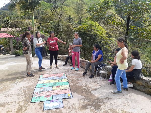 ESTUFAS ECOEFICIENTES VEREDAS LA PALMA Y TESORITO