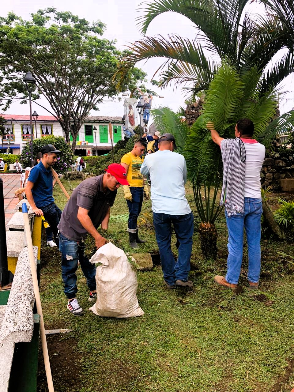 ADELANTAN JORNADA DE EMBELLECIMIENTO EN EL PARQUE PRINCIPAL DE SAMAN�