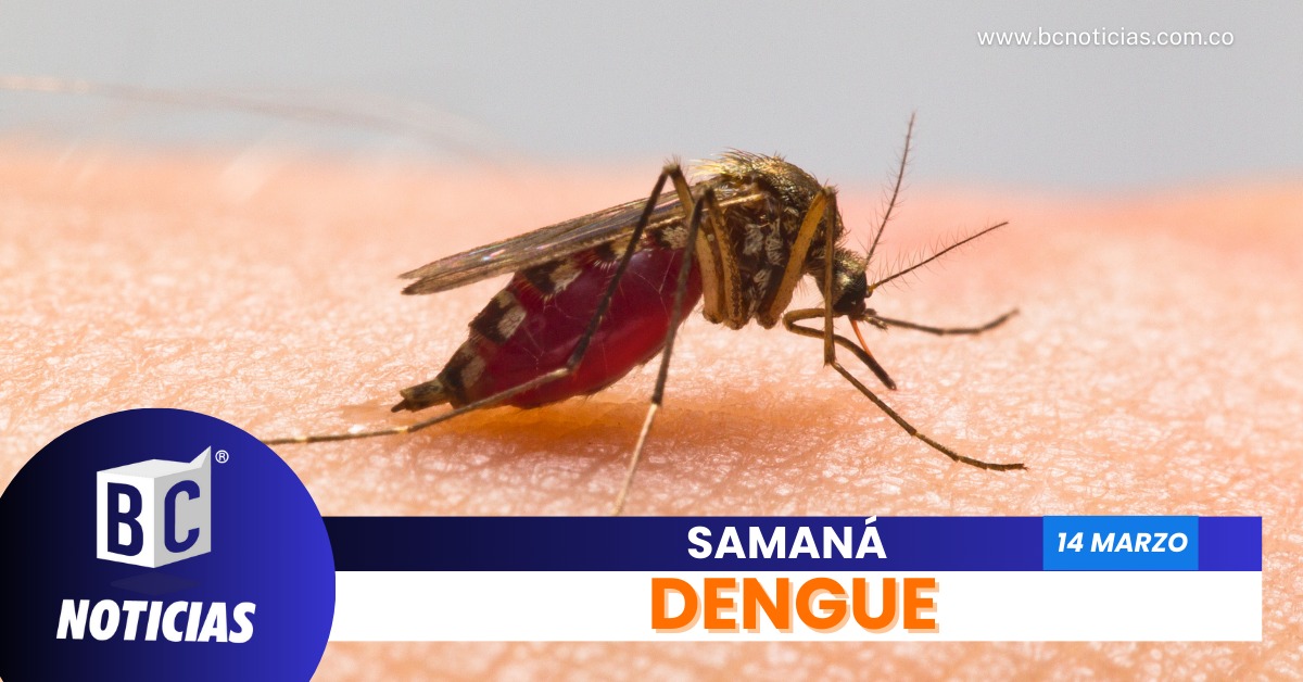 ANUNCIAN PLAN DE CHOQUE CONTRA EL DENGUE EN EL CORREGIMIENTO DE SAN DIEGO