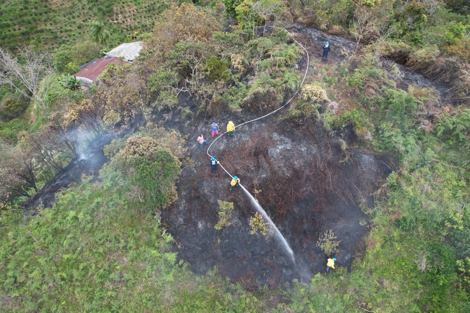 INCENDIO FORESTAL EN LA V�A A LA VEREDA LA ESMERALDA