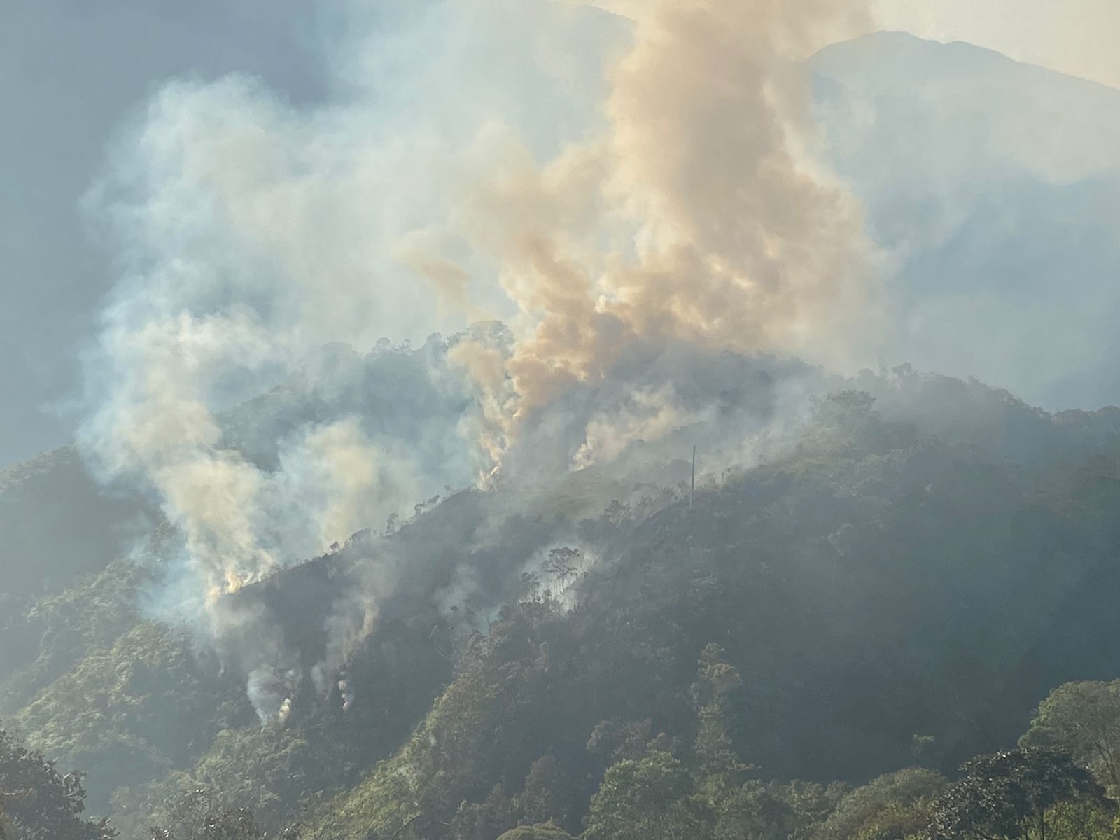 INCENDIO FORESTAL EN LA VEREDA LA SOMBRA
