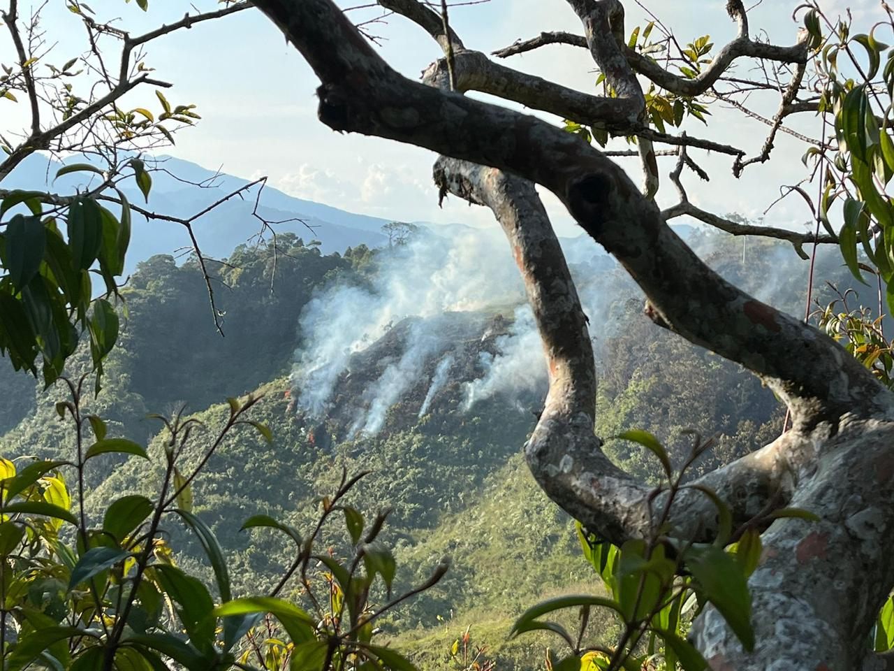 INCENDIO FORESTAL EN LA VEREDA LA SOMBRA