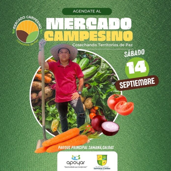 SAMAN�, CALDAS, ACOGE MERCADO CAMPESINO �COSECHAS DE PAZ�