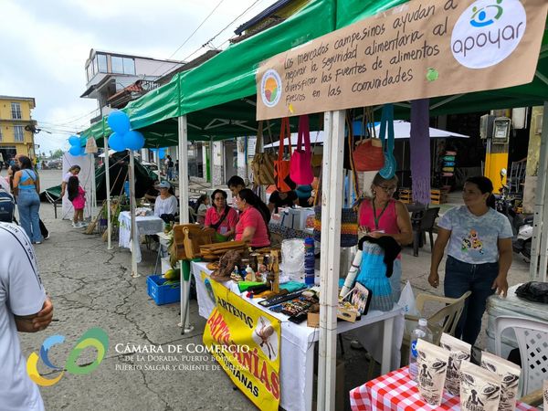  MERCADO CAMPESINO - COSECHAS POR LA PAZ
