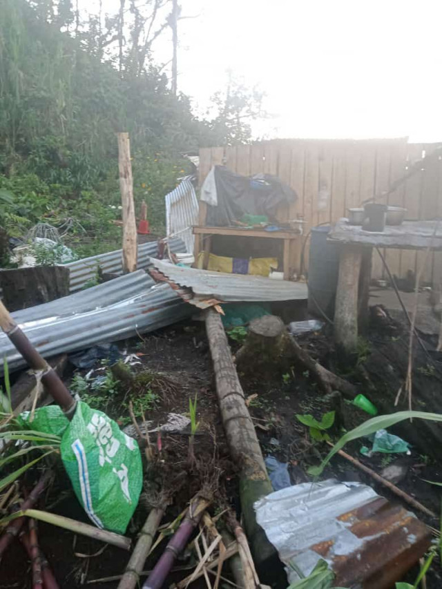 SUBE LA CIFRA DE AFECTADOS: 510 PERSONAS DAMNIFICADAS POR VENDAVAL EN SAMAN� (CALDAS)