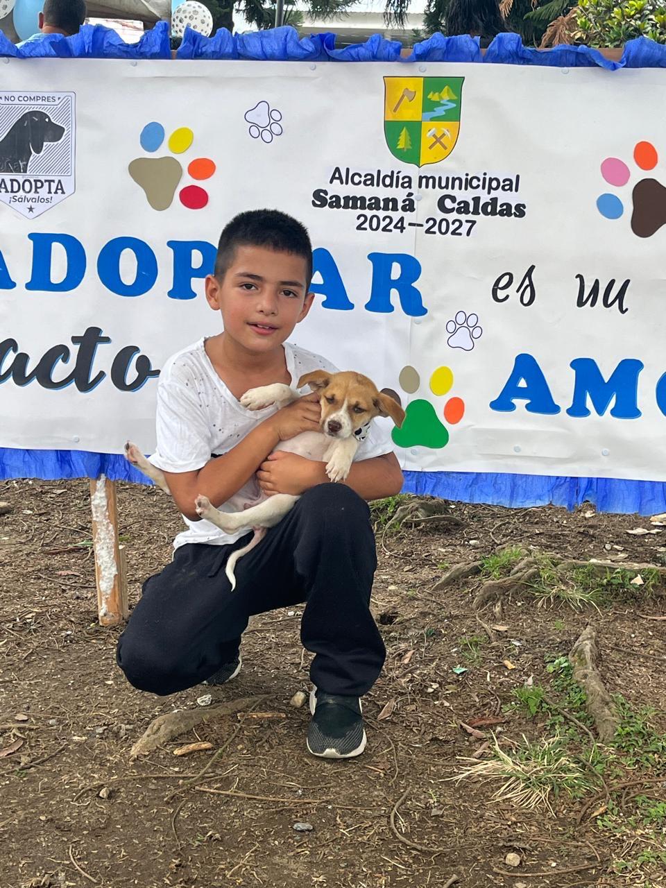 JORNADA DE ADOPCI�N DE MAASCOTAS