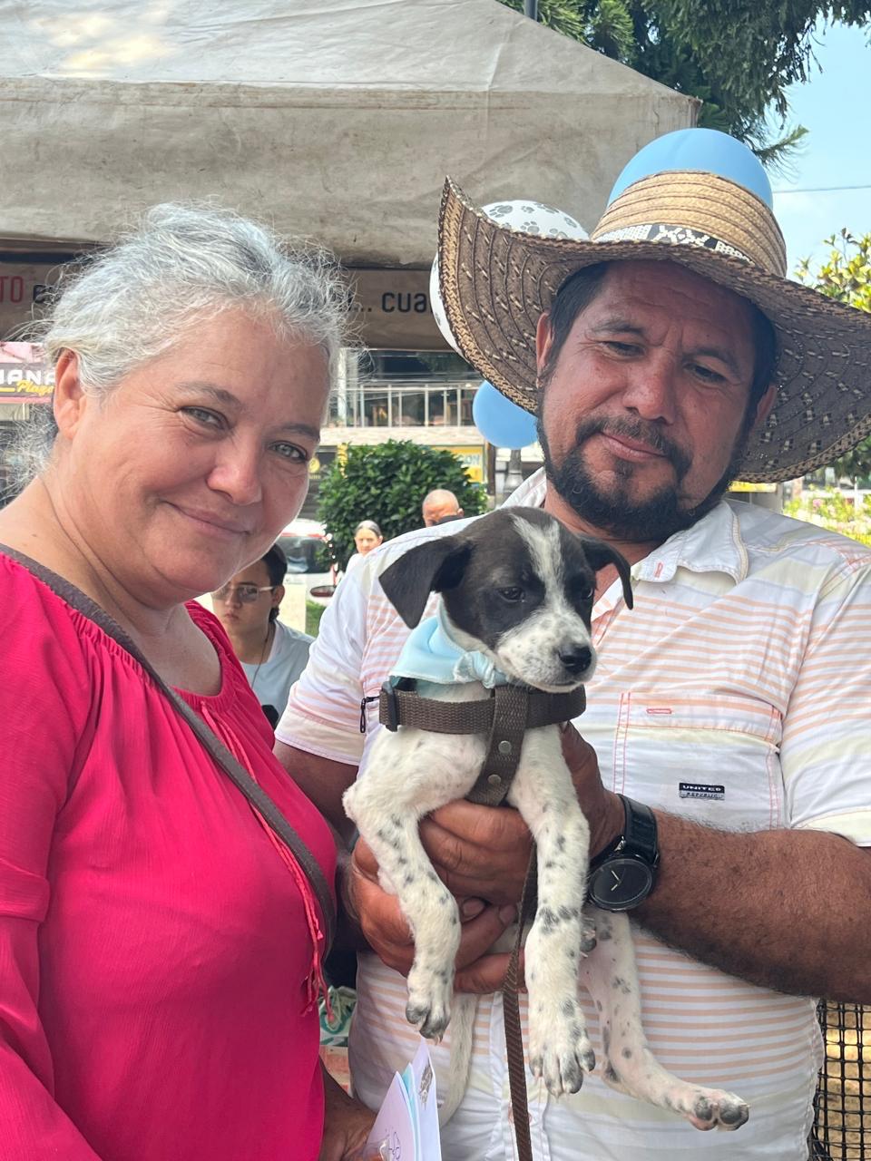 JORNADA DE ADOPCI�N DE MAASCOTAS