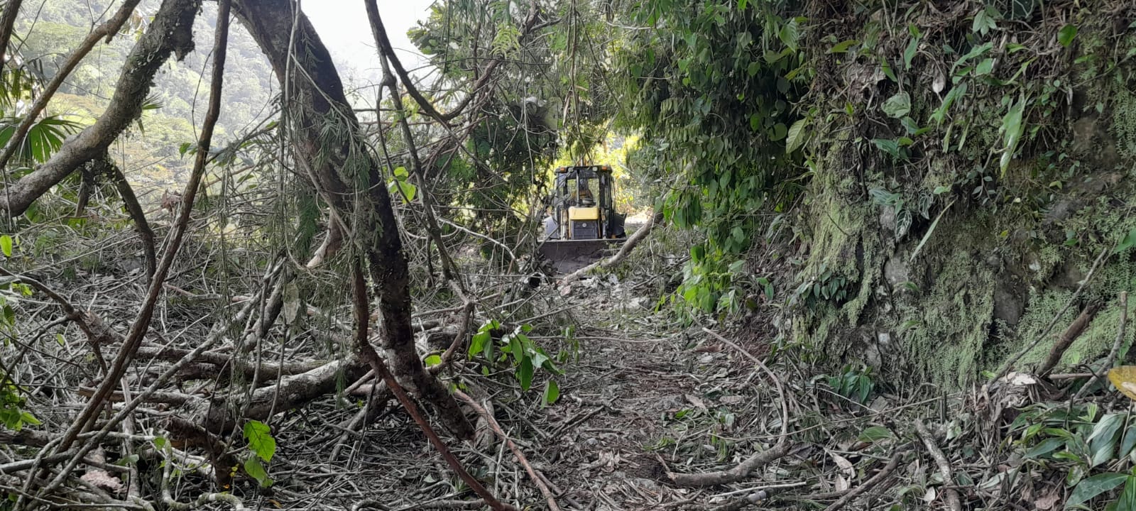 SE HABILITA V�A SAMAN�-FLORENCIA PUES LAS FUERTES LLUVIAS  
