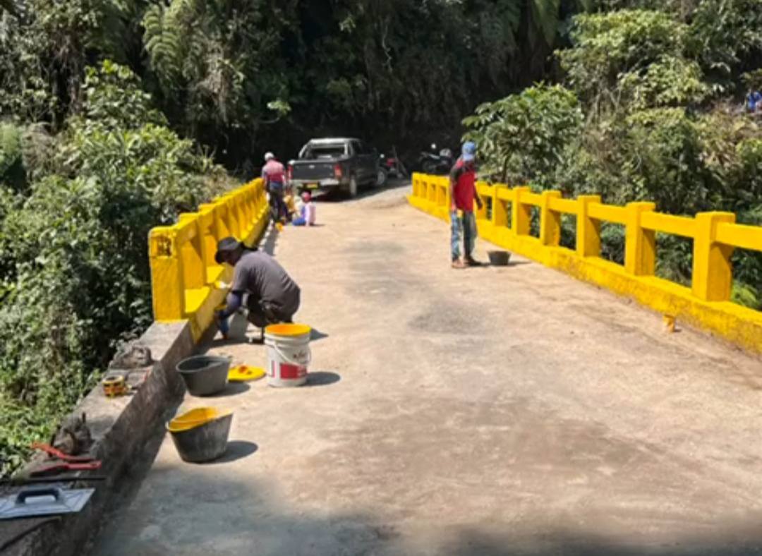 MEJORAMIENTO AL PUENTE EL GUAICO, PINTADA