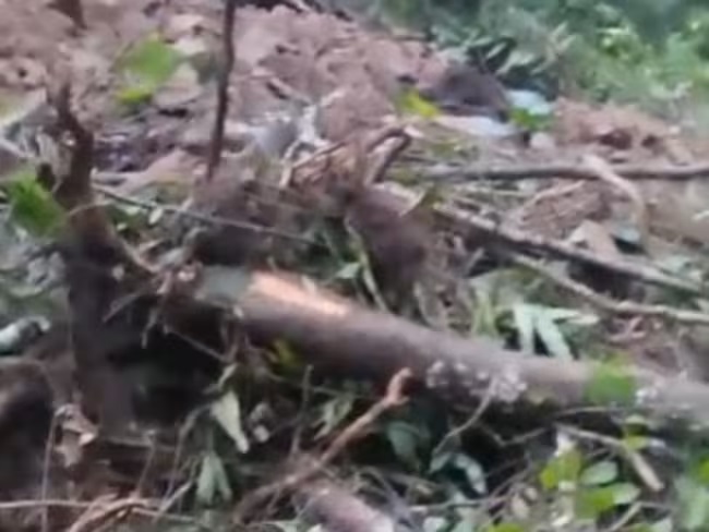 OPERARIO DE MAQUINARIA PESADA FALLECI� EN UN DESLIZAMIENTO DE TIERRA EN SAMAN�, CALDAS