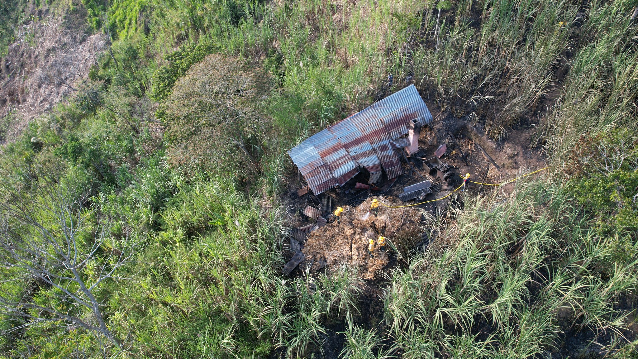 INCENDIO ENRAMADA VEREDA TENERIFE