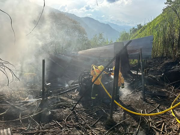 INCENDIO ENRAMADA VEREDA TENERIFE