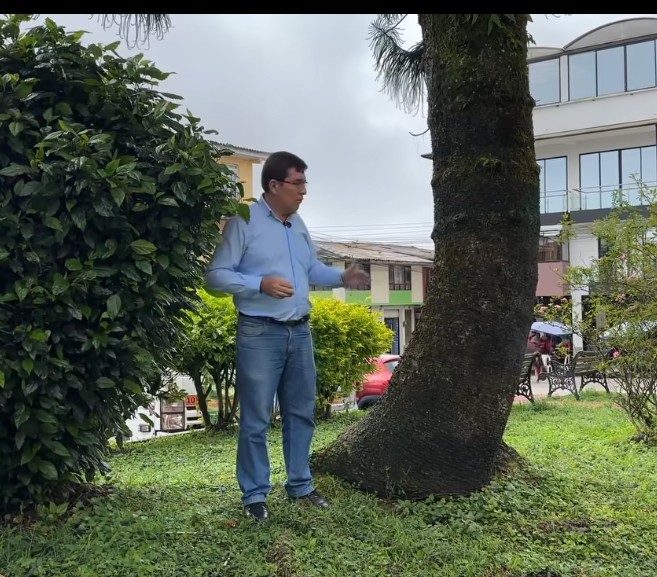 CONSEJO APRUEBA TALA DE �RBOLES EN RIESGO EN EL MARCO DEL PRIMER CONSEJO MUNICIPAL DE GESTI�N DEL RIESGO DE DESASTRES DEL A�O 2025