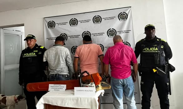 TRES CAPTURADOS POR TALA ILEGAL