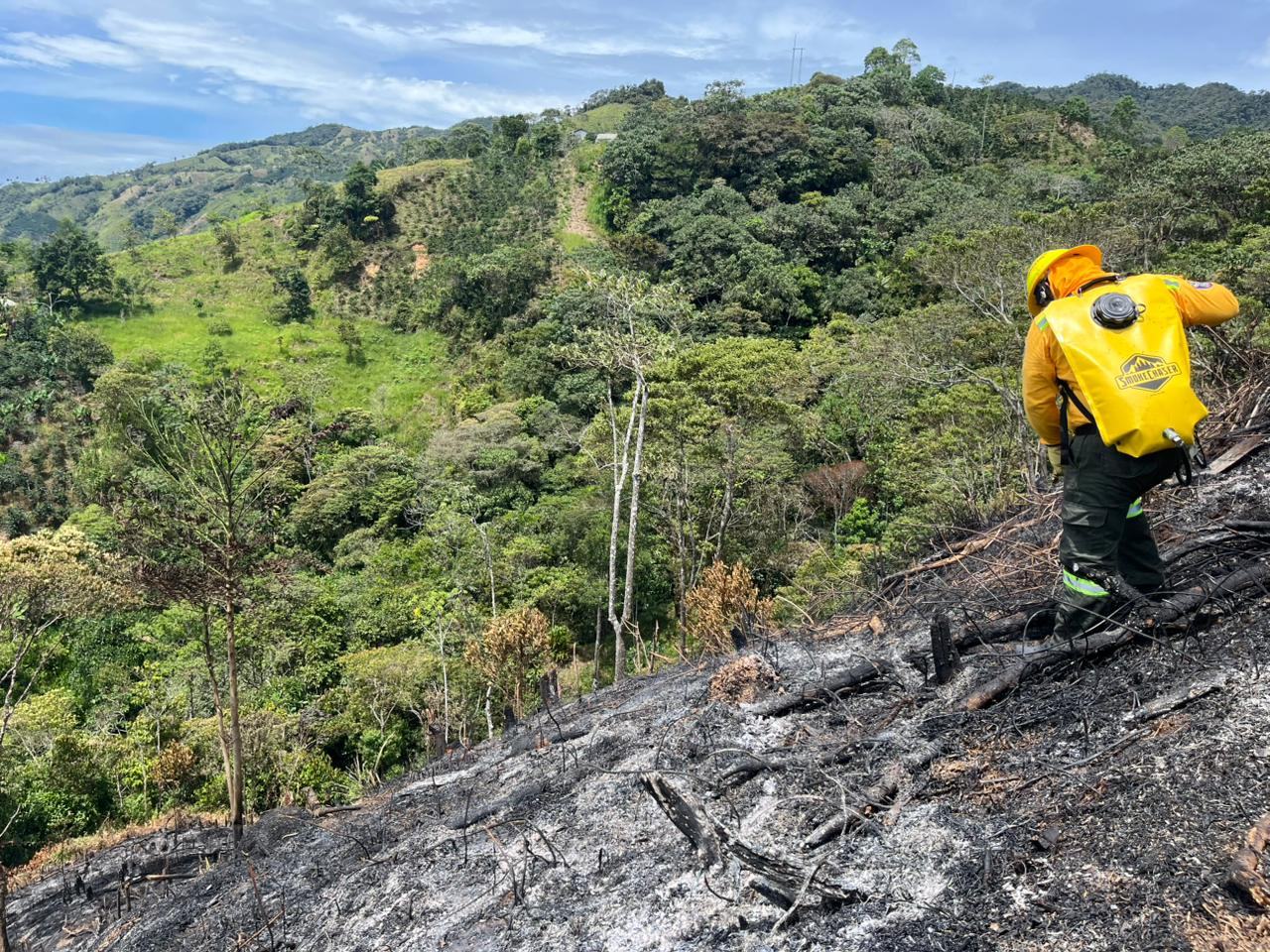 INCENDIOS EN LAS VEREDAS DE MAS�AS Y SEGOVIA.