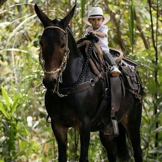 Deceso de: LEONARDO MU�OZ