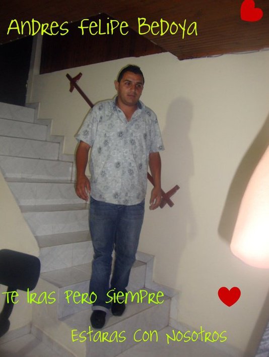 ANDRES FELIPE BEDOYA OCAMPO